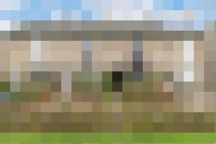 Vinkelaan 221 Helmond thumbnail 6