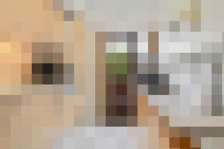 Vinkelaan 221 Helmond thumbnail 8
