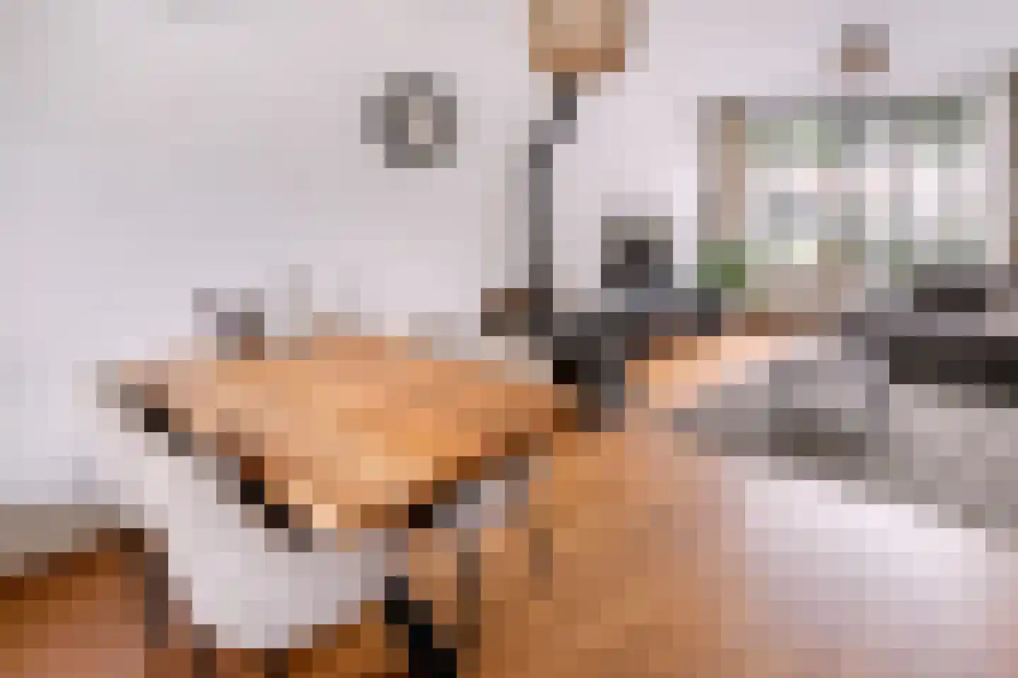 Vinkelaan 235 Helmond thumbnail 12
