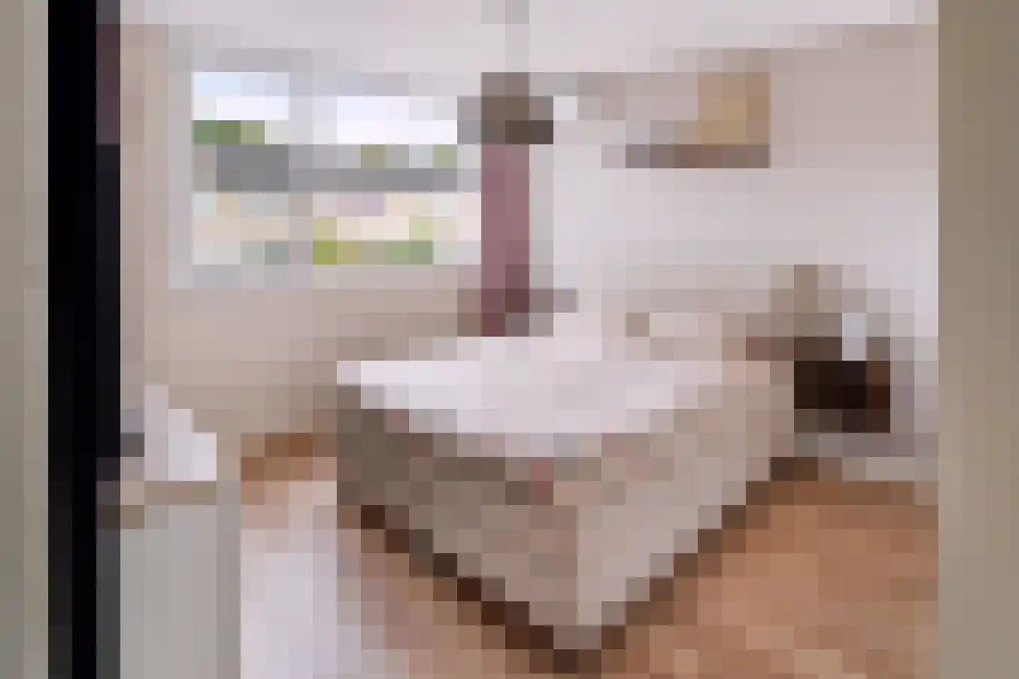 Vinkelaan 235 Helmond thumbnail 18