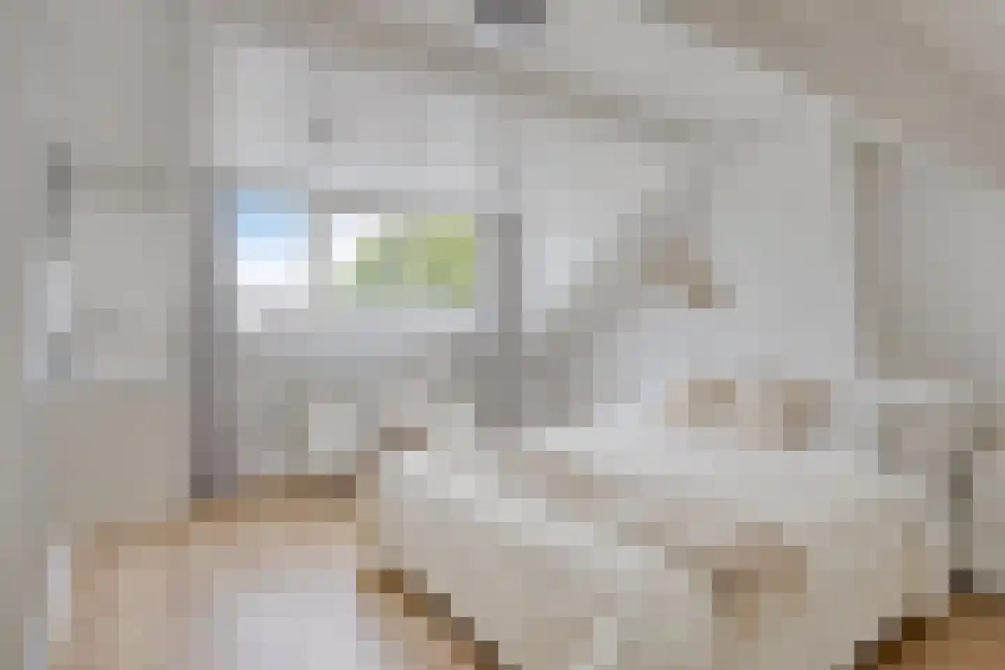Vinkelaan 252 Helmond thumbnail 35