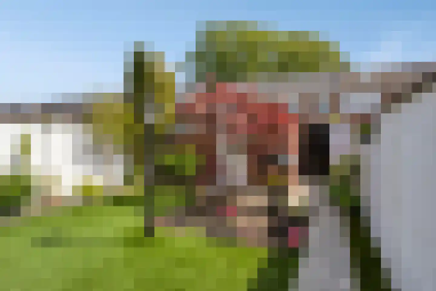 Vinkelaan 252 Helmond thumbnail 41