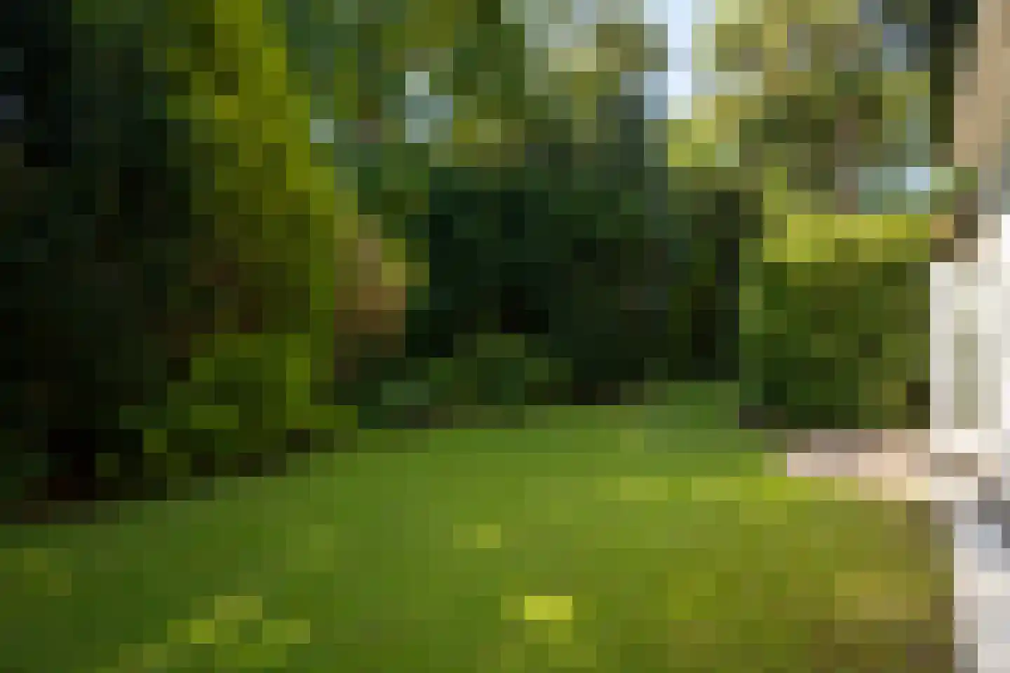 Vinkelaan 26 Wassenaar thumbnail 12