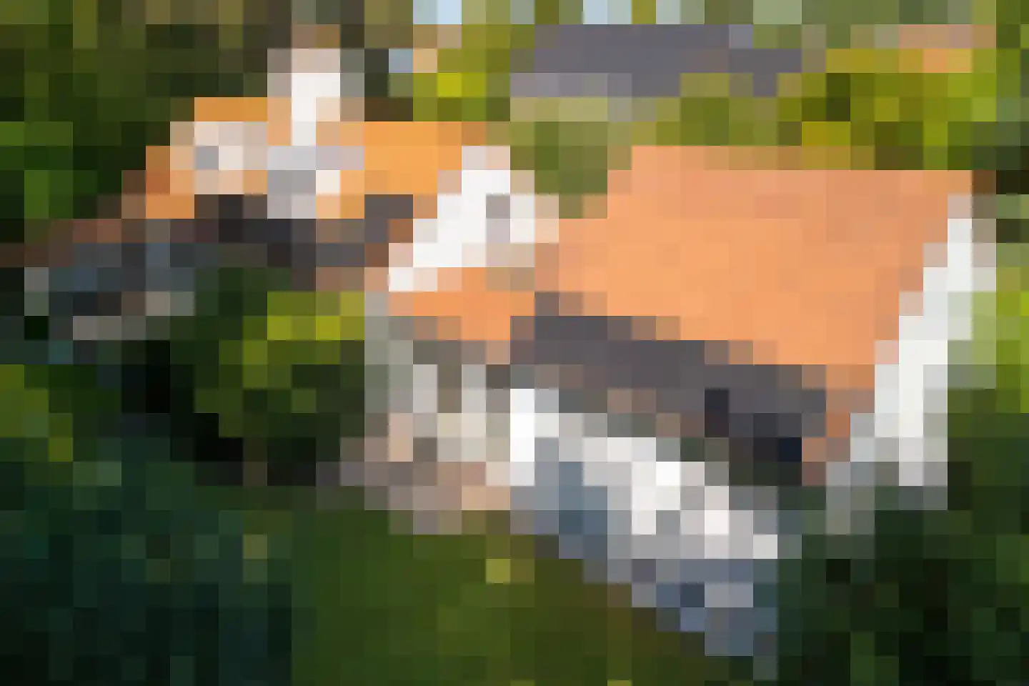 Vinkelaan 26 Wassenaar thumbnail 13