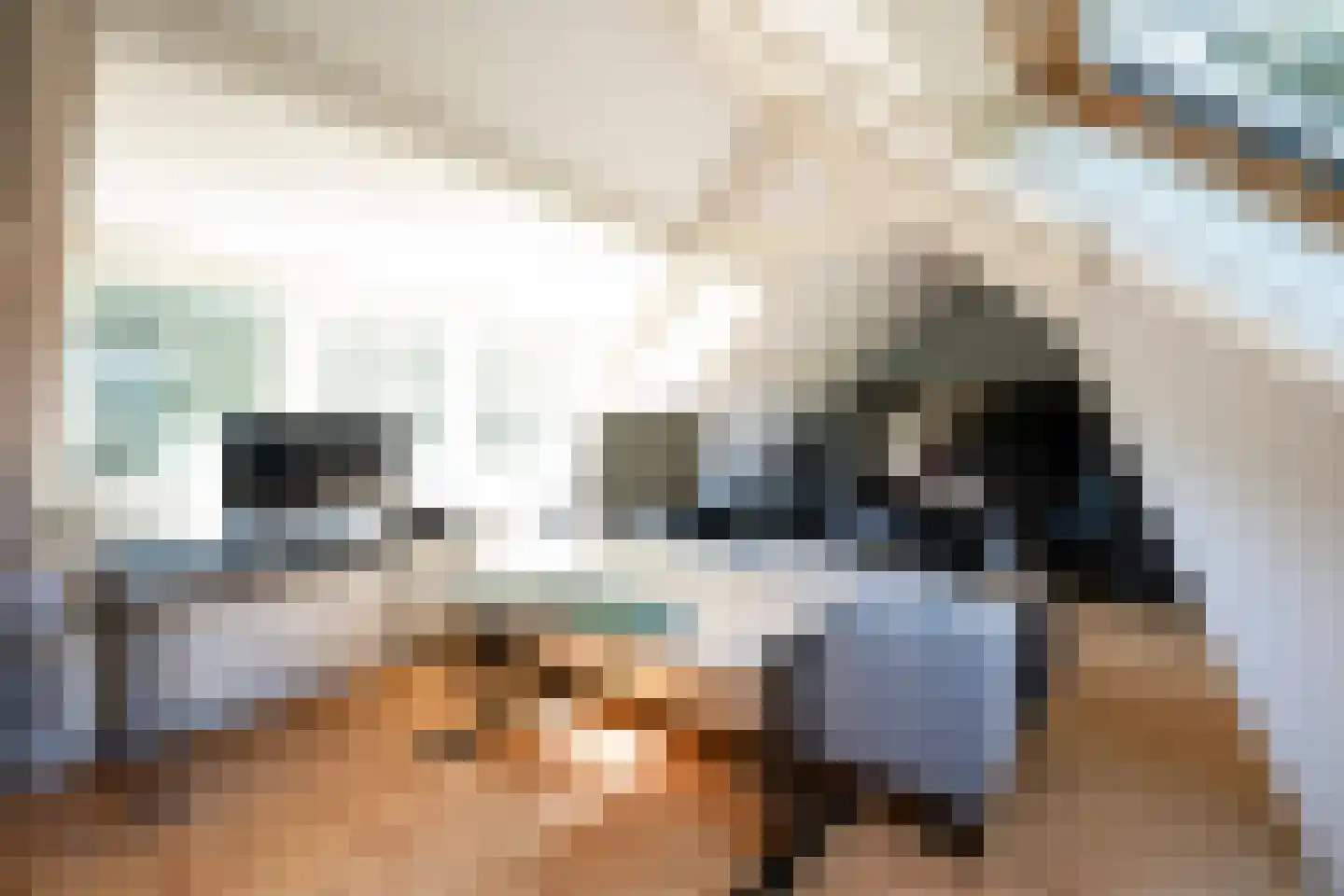 Vinkelaan 26 Wassenaar thumbnail 26