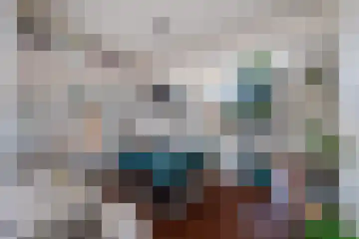 Vinkelaan 5 Wassenaar thumbnail 11