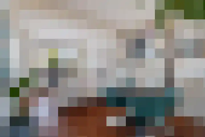 Vinkelaan 5 Wassenaar thumbnail 12