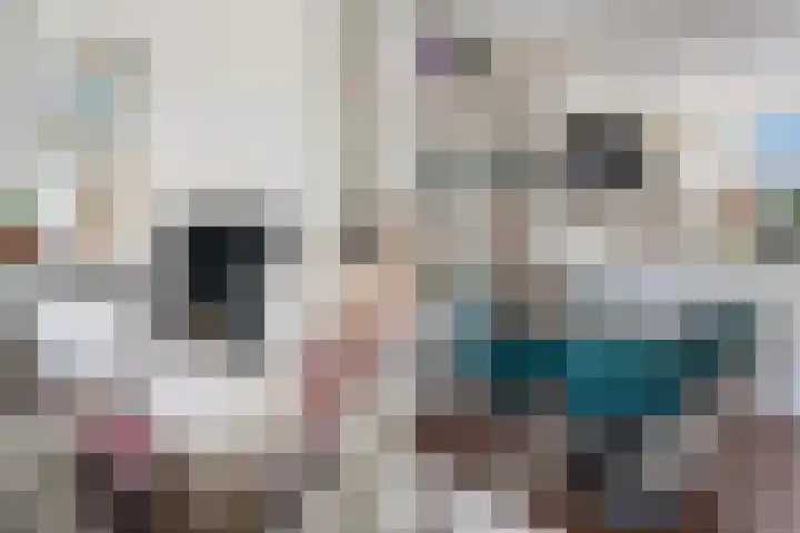 Vinkelaan 5 Wassenaar thumbnail 13