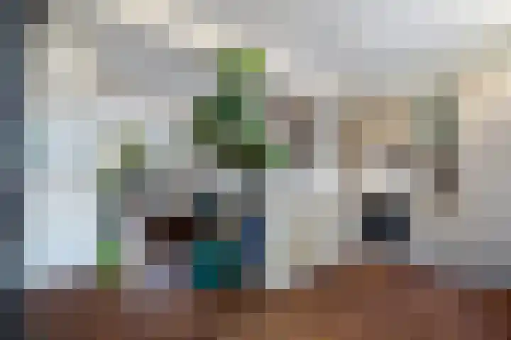 Vinkelaan 5 Wassenaar thumbnail 14