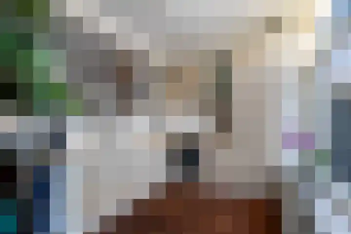 Vinkelaan 5 Wassenaar thumbnail 15