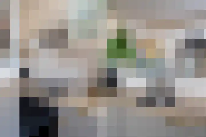 Vinkelaan 5 Wassenaar thumbnail 16