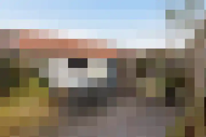 Vinkelaan 5 Wassenaar thumbnail 21