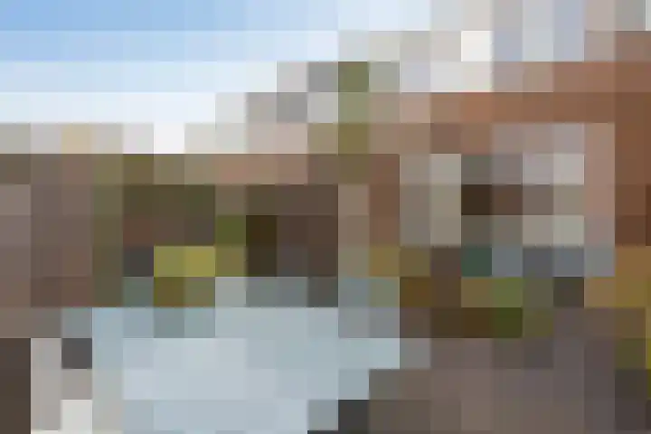 Vinkelaan 5 Wassenaar thumbnail 23
