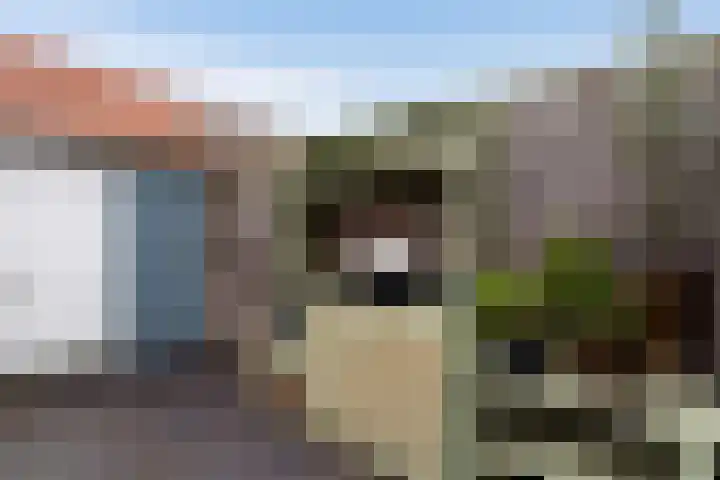 Vinkelaan 5 Wassenaar thumbnail 25