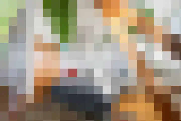 Vinkelaan 5 Wassenaar thumbnail 29