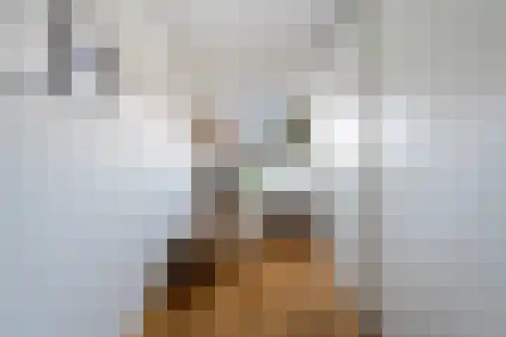 Vinkelaan 5 Wassenaar thumbnail 34