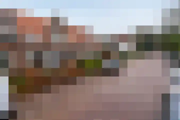 Vinkelaan 5 Wassenaar thumbnail 41