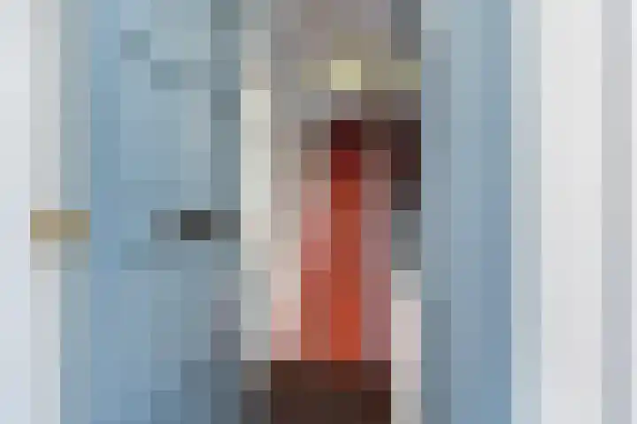 Vinkelaan 5 Wassenaar thumbnail 6