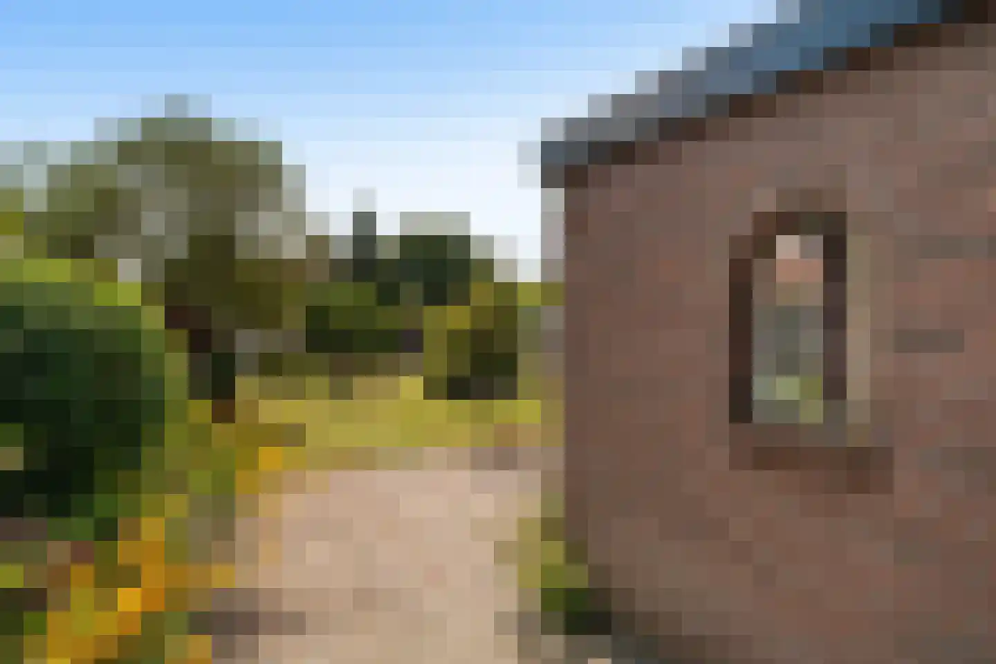 Vinkelaan 6 Wassenaar thumbnail 13