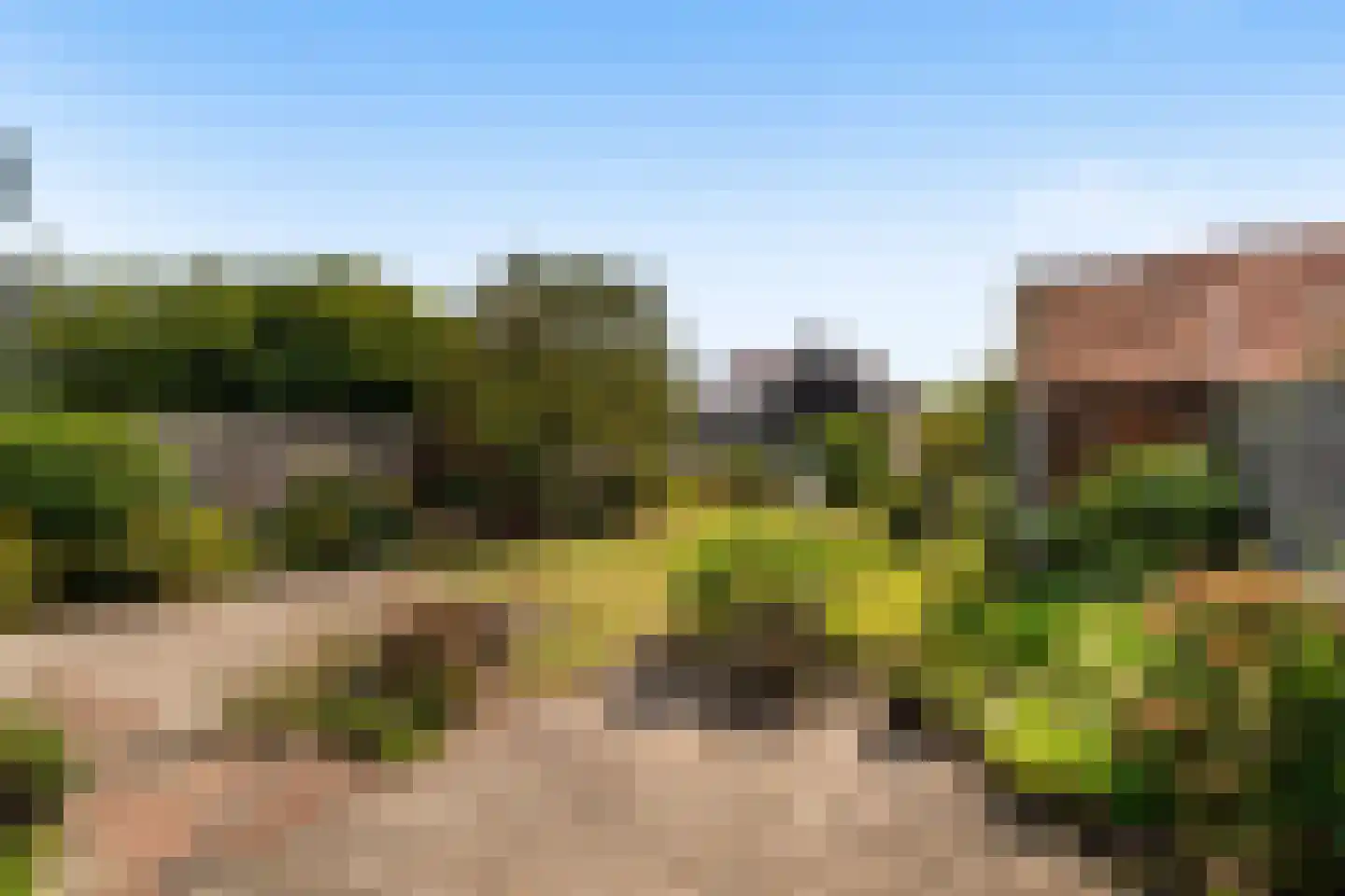 Vinkelaan 6 Wassenaar thumbnail 15