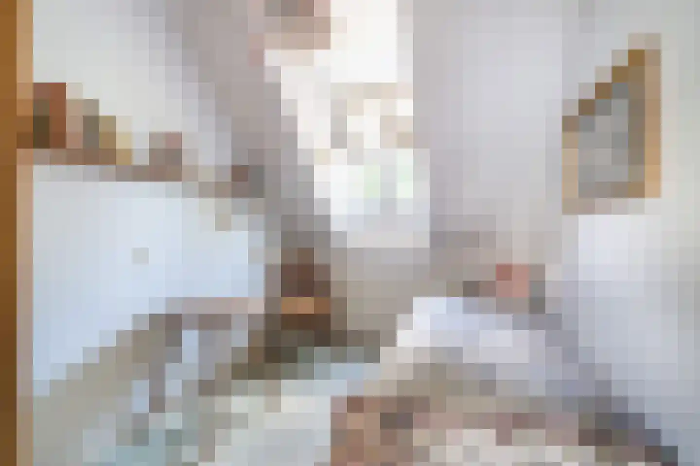 Vinkelaan 6 Wassenaar thumbnail 22