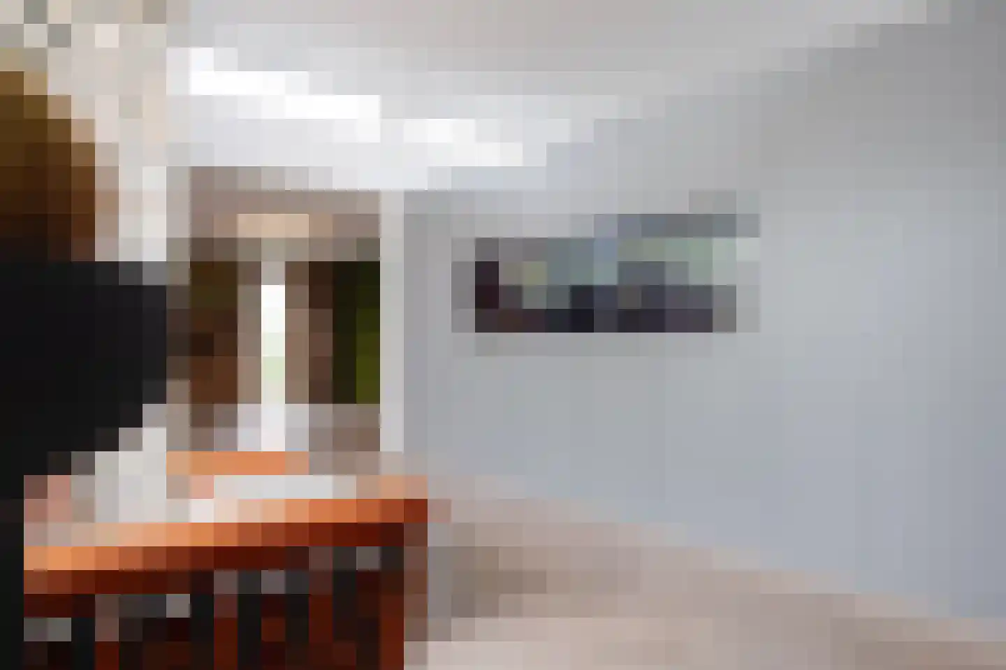 Vinkelaar 9 Terschuur thumbnail 12