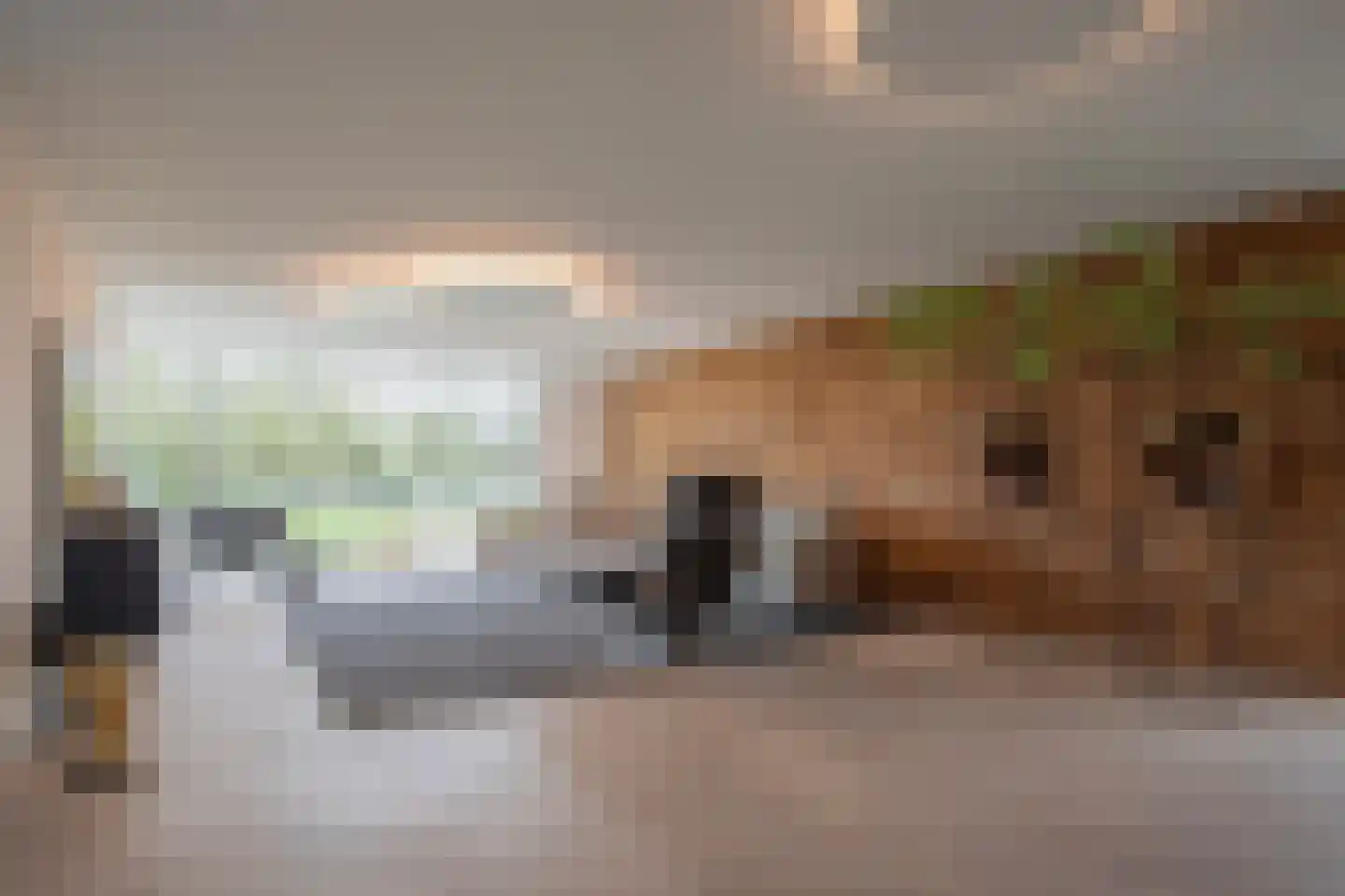 Vinkelaar 9 Terschuur thumbnail 13