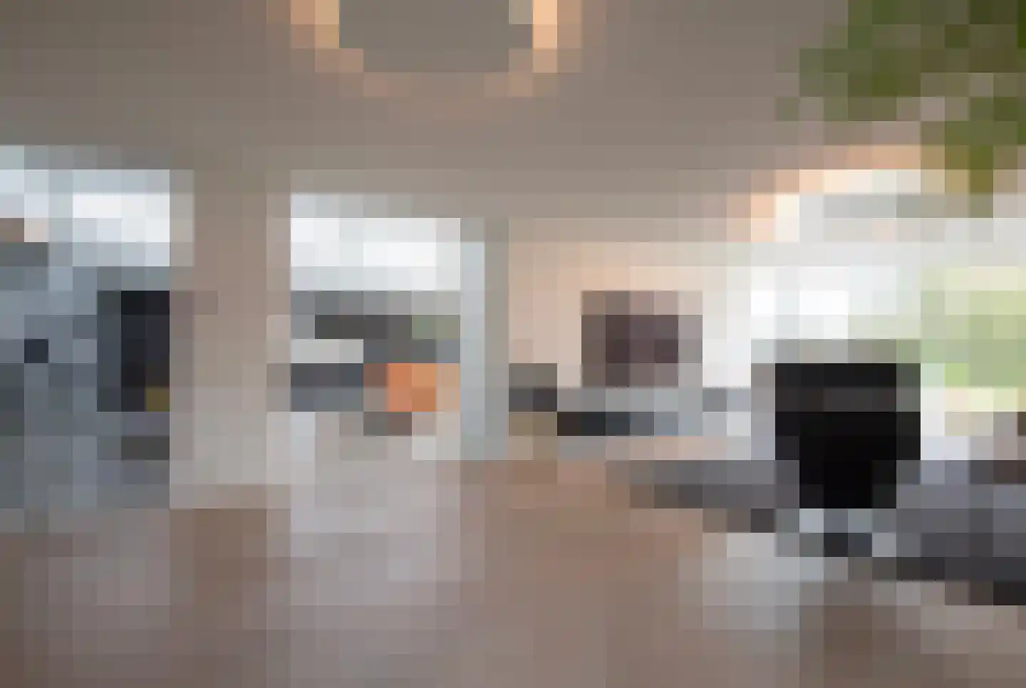 Vinkelaar 9 Terschuur thumbnail 14