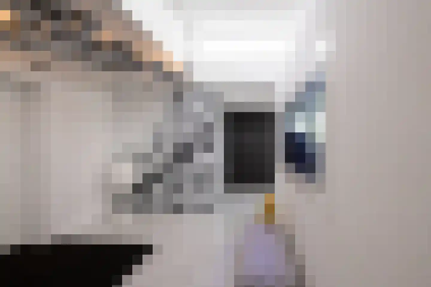 Vinkelaar 9 Terschuur thumbnail 20