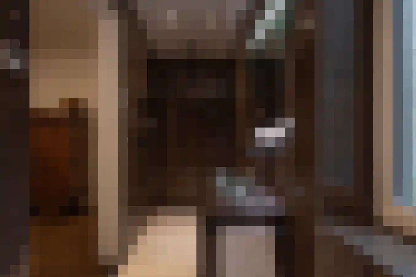 Vinkelaar 9 Terschuur thumbnail 34