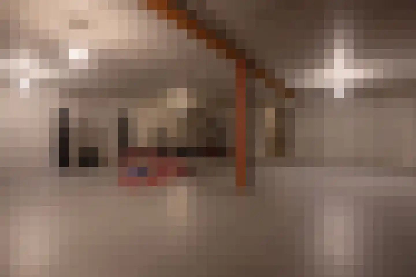 Vinkelaar 9 Terschuur thumbnail 40