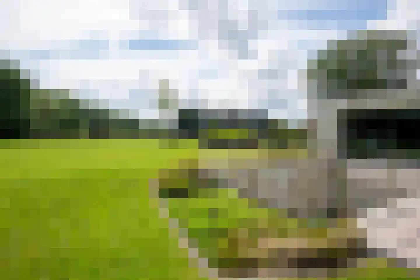 Vinkelaar 9 Terschuur thumbnail 60