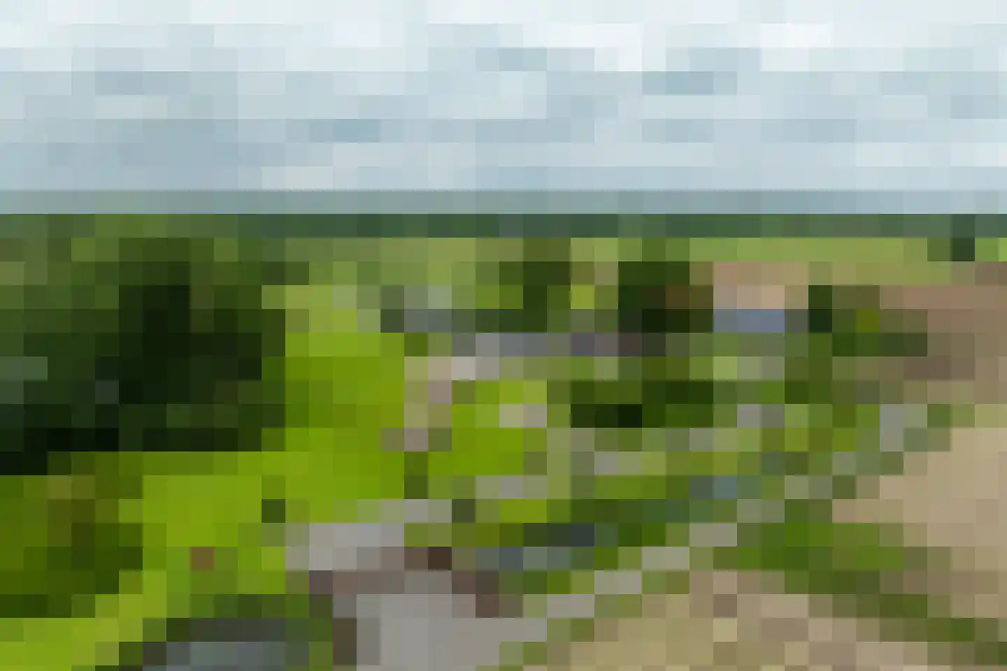 Vinkelaar 9 Terschuur thumbnail 67