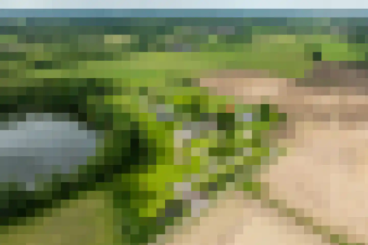 Vinkelaar 9 Terschuur thumbnail 68