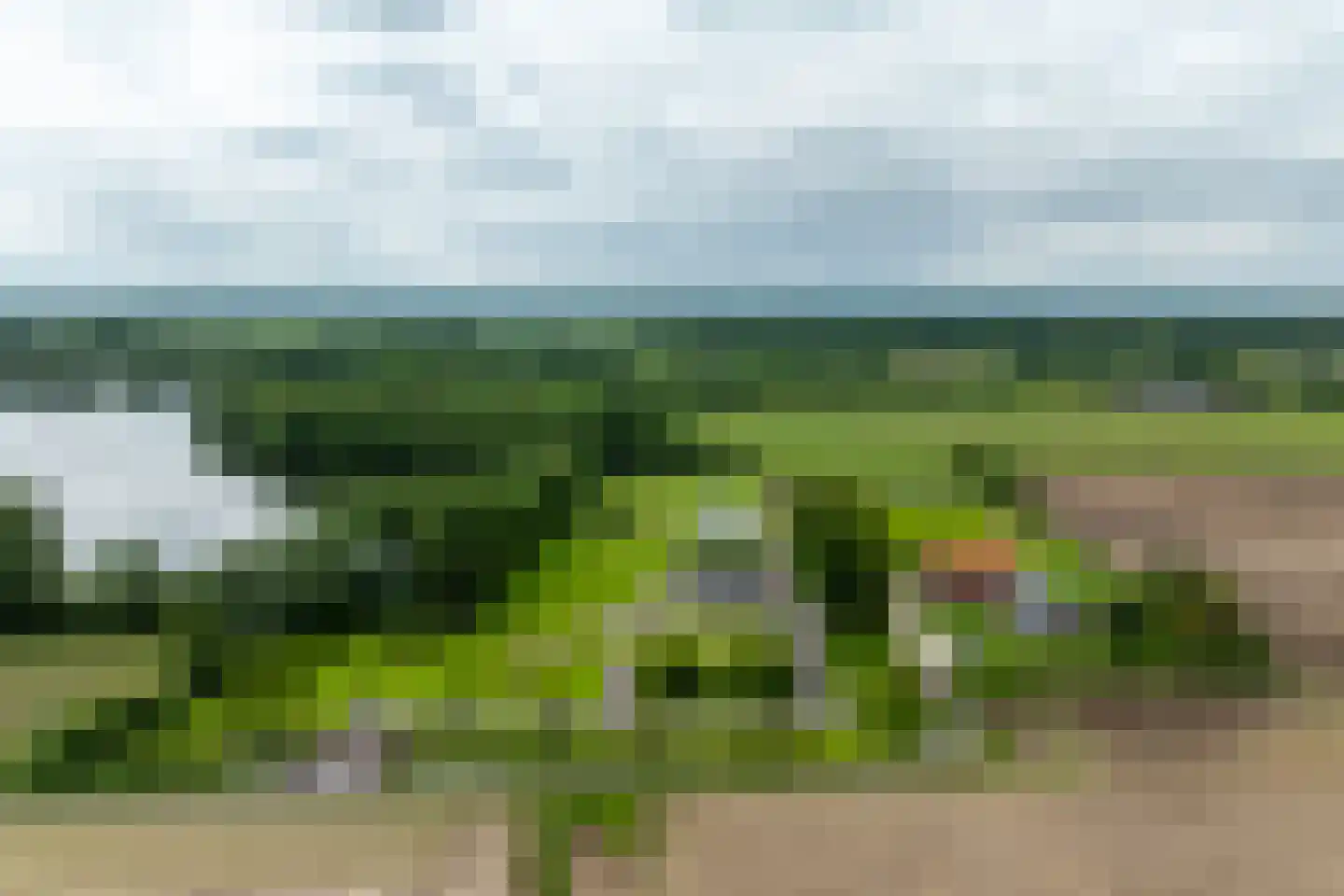Vinkelaar 9 Terschuur thumbnail 69