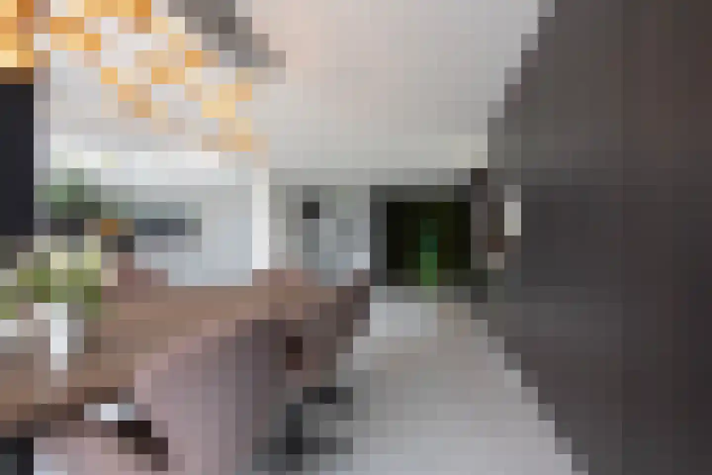Vinkelaar 9 Terschuur thumbnail 8