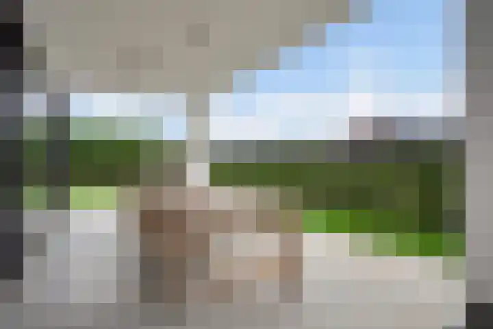 Vinkelse Slagen 34 Vinkel thumbnail 22
