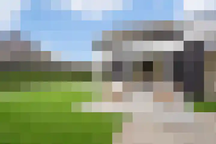 Vinkelse Slagen 34 Vinkel thumbnail 26