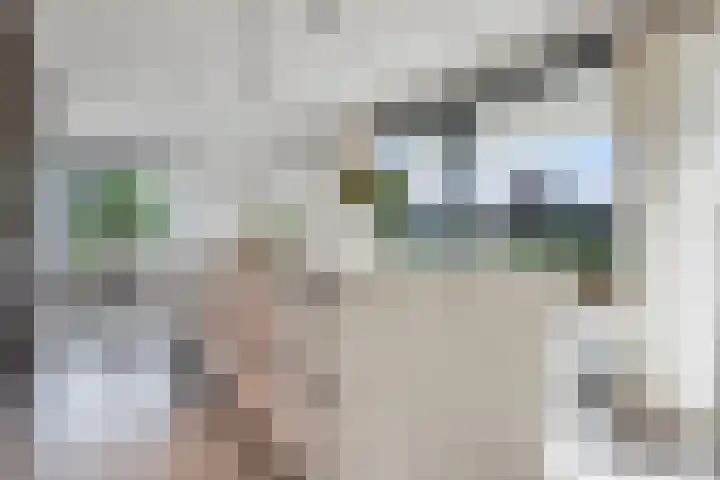 Vinkelse Slagen 34 Vinkel thumbnail 6