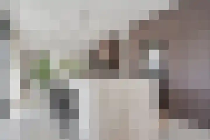 Vinkelse Slagen 34 Vinkel thumbnail 7