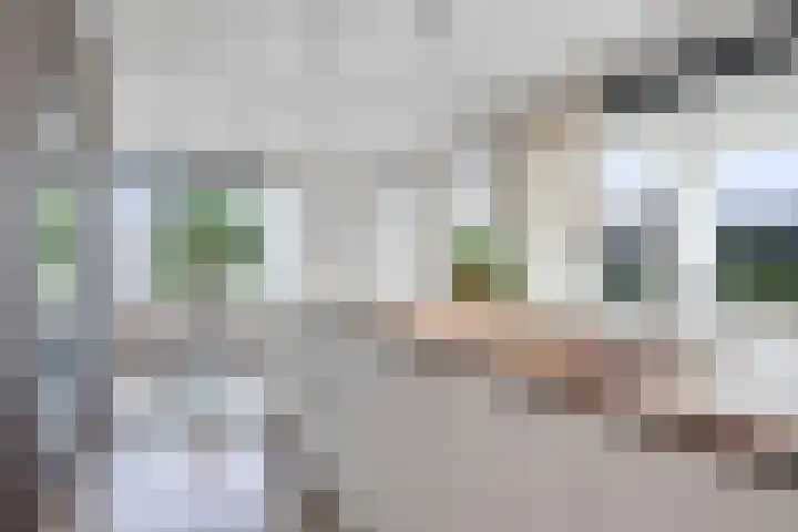 Vinkelse Slagen 34 Vinkel thumbnail 8