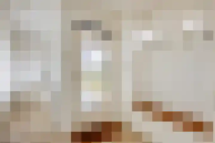Vinkelsestraat 31 Heesch thumbnail 11