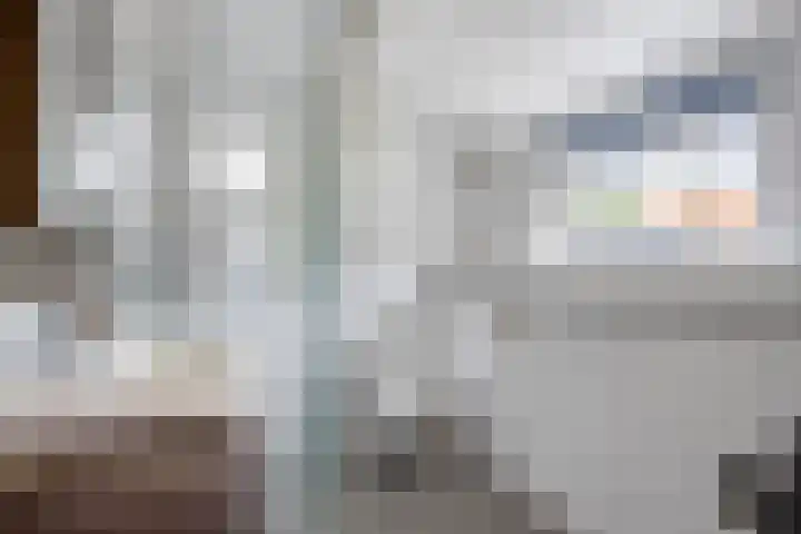 Vinkelsestraat 31 Heesch thumbnail 12