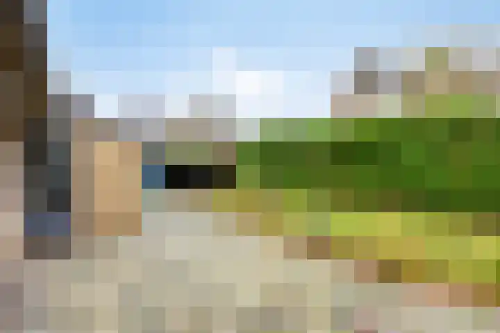 Vinkelsestraat 31 Heesch thumbnail 18