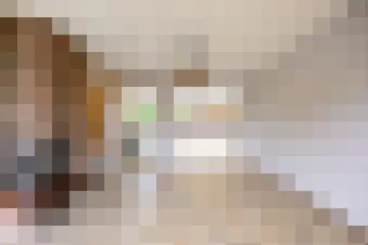 Vinkelsestraat 31 Heesch thumbnail 4