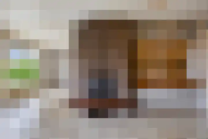 Vinkelsestraat 31 Heesch thumbnail 5