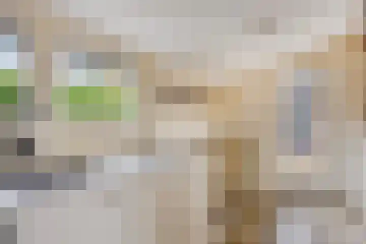 Vinkelsestraat 31 Heesch thumbnail 6
