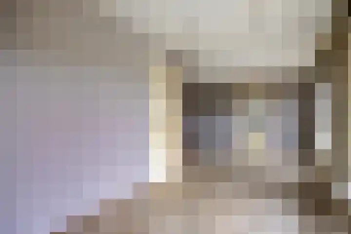 Vinkelsestraat 31 Heesch thumbnail 9