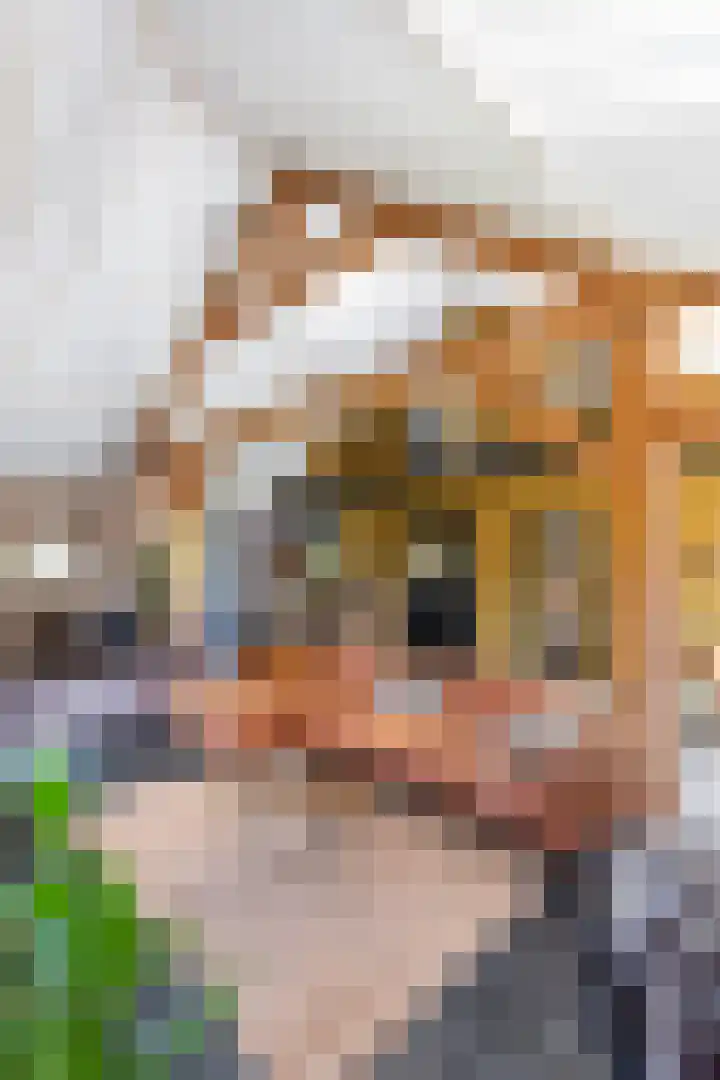 Vinkelsestraat 48 Heesch thumbnail 13
