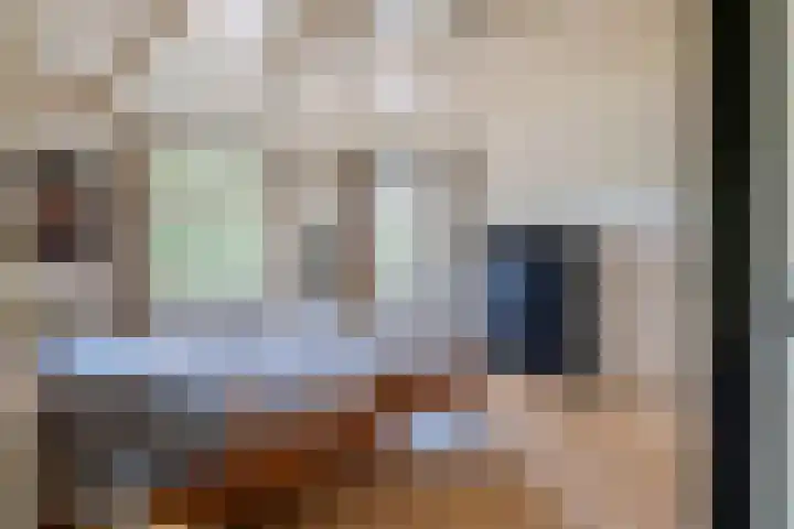 Vinkelsestraat 48 Heesch thumbnail 18